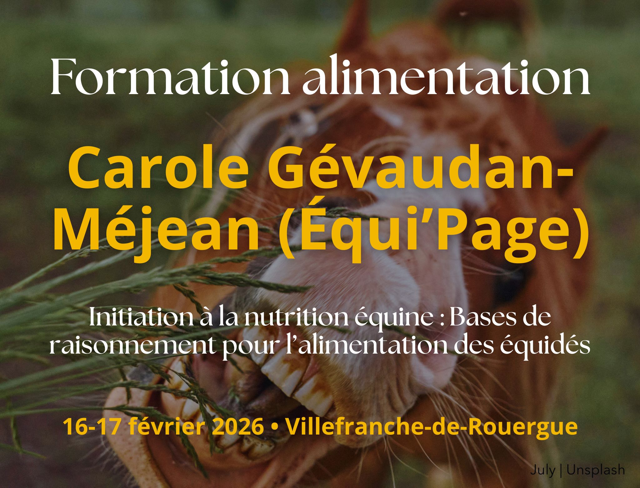 Formation Alimentation équine Carole Gévaudan Méjean Équi'Page Villefranche-de-Rouergue