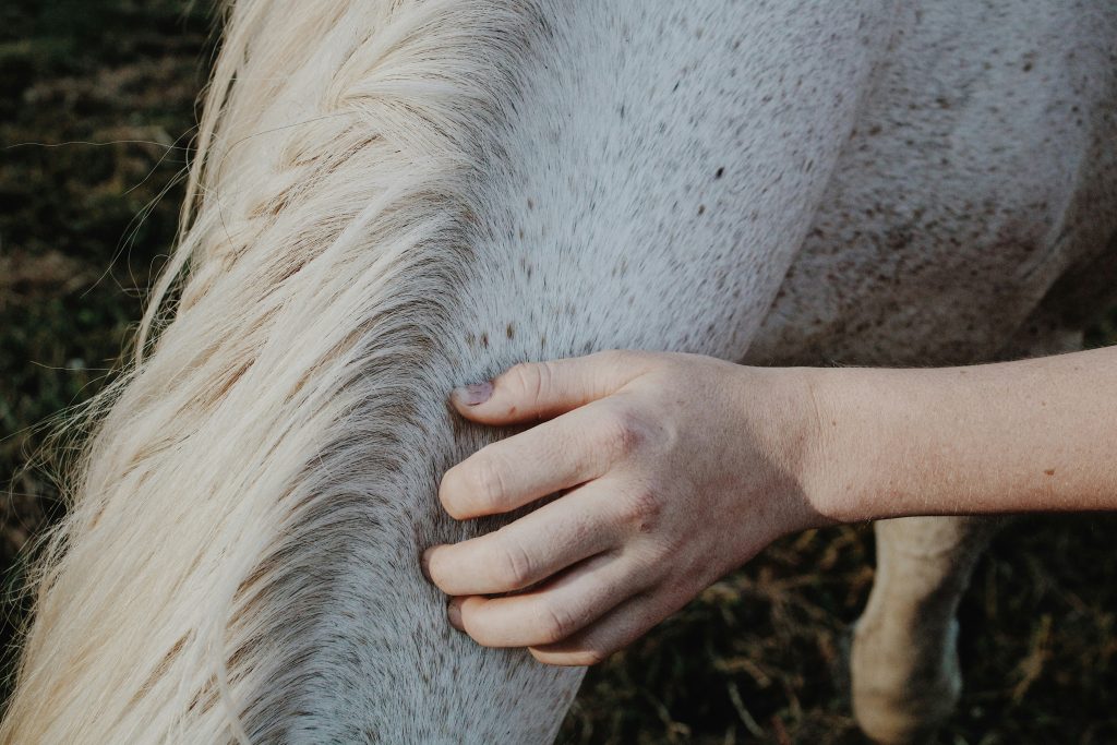 ava tyler pm6qnctia70 unsplash