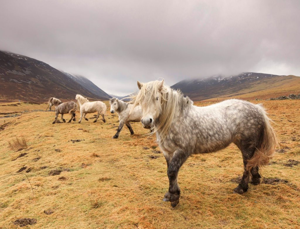 martin bennie utejrnakgue unsplash