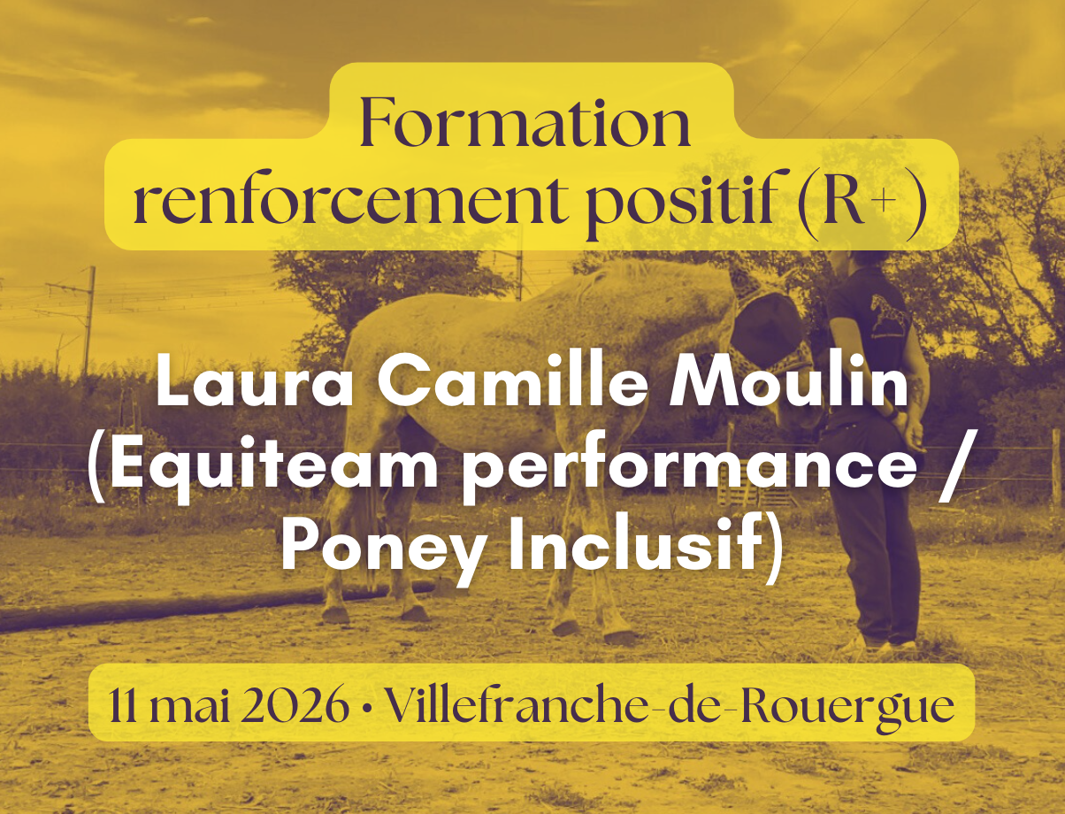 Formation renforcement positif l'équicentre laura camille moulin