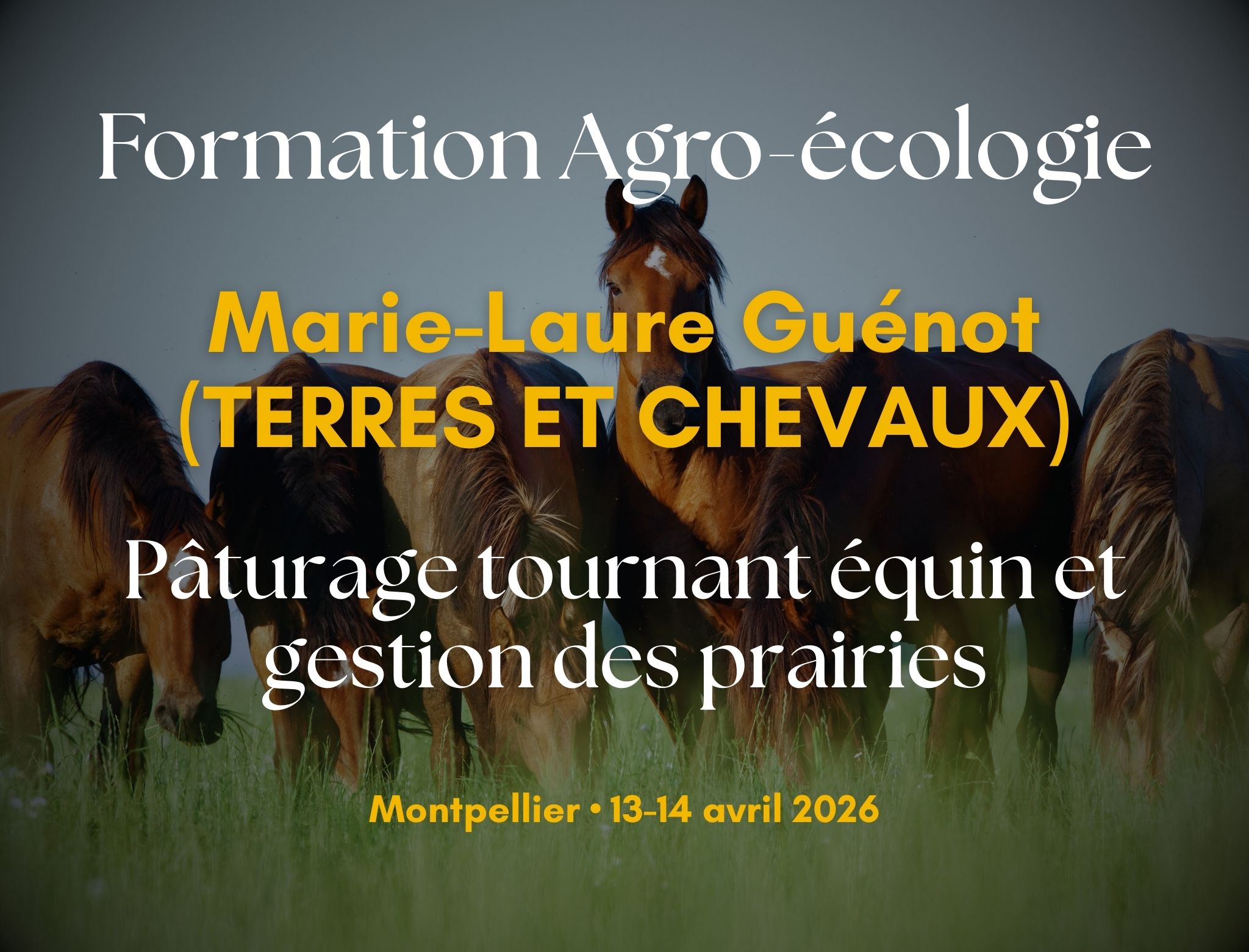 Visuel formation gestion de prairies pâturage tournant équin Montpellier