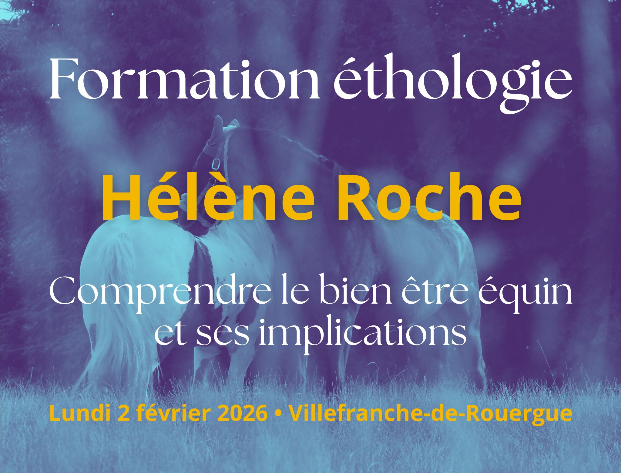 visuel formation hélène roche adpsa